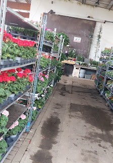 Schierz-Blumen OHG
