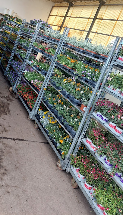 Schierz-Blumen OHG
