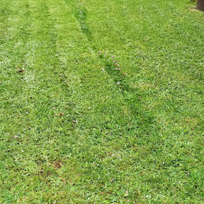 SG Dienstleistungen Garten- und Landschaftspflege