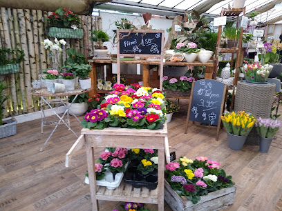 Blumen Spörri Floristik