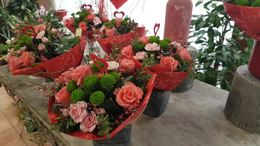 Blumen Hofmeister