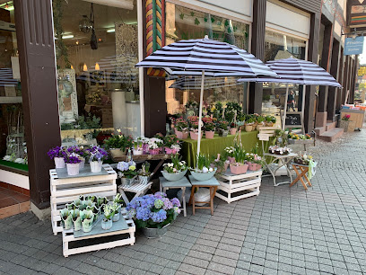 Blumen von Evelin