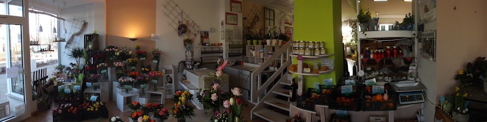 Himstedt Blumen und Gemüse