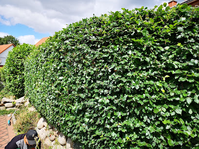 Garten Goldmann
