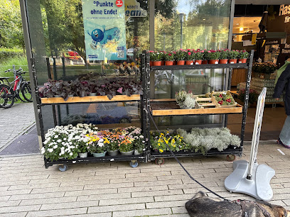 bluums. natürlich blumen