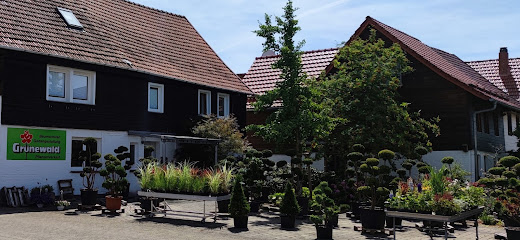 Baumschule