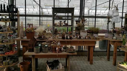 Blumen Manegold