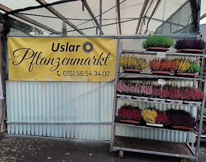 Blumenmarkt in Uslar