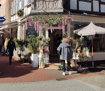 Gamas Blumenwelt