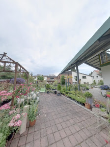 Baumschule SPIESS Gartengestaltung und Pflanzenvertriebs GmbH