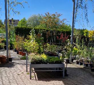Baumschule SPIESS Gartengestaltung und Pflanzenvertriebs GmbH