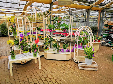Blumenpavillon Hanelt GbR