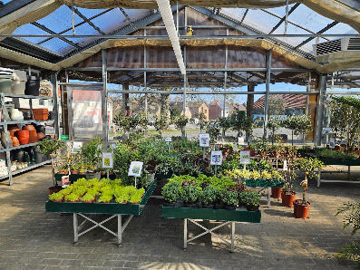 Blumenpavillon Hanelt GbR