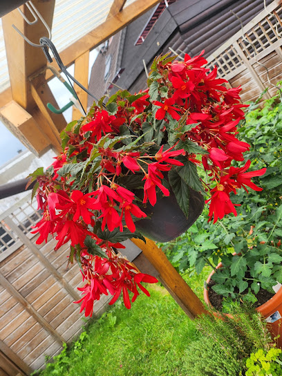 Blumengeschäft
