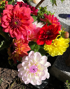 Blumen Hanni & Thanni