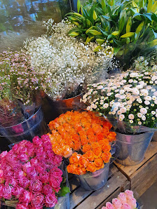 Der Holländer G.S.Geerlings Blumen & Pflanzen