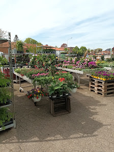 Raiffeisen-Markt Bruchhausen-Vilsen