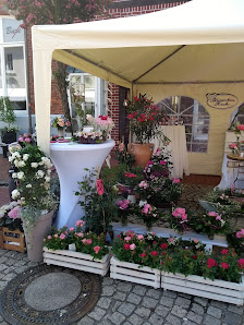 Blumenhaus Knake GmbH