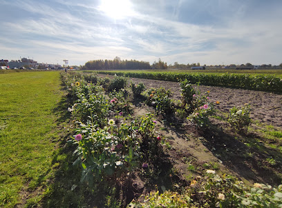 Blumengeschäft