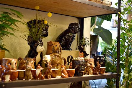 Grünschnabel Floristik & Plant Store Berlin
