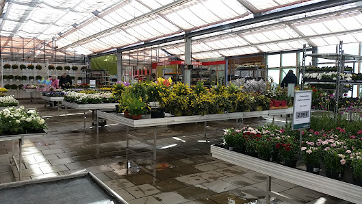 Pflanzen Ries GmbH & Co. KG