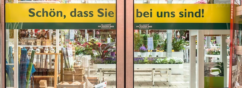 Pflanzen Ries GmbH & Co. KG