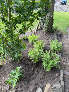 BM.Gartenservice