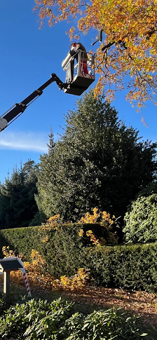 Natur und Garten Hoppe GmbH