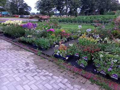 Blumen & Pflanzen Klawon