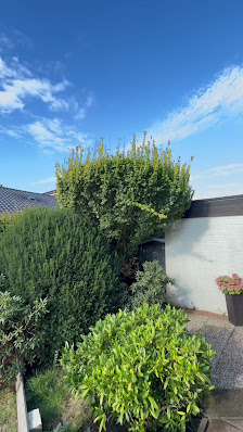 Garten & Hausmeisterservice Sam