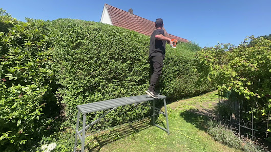 Garten & Hausmeisterservice Sam