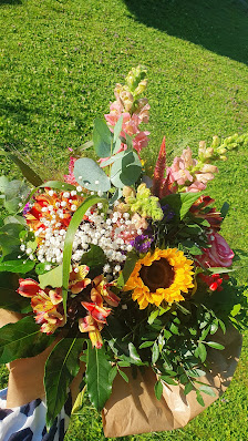 Löwenzahn Blumen