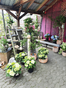 Floristik Shop Gärtnerei Goldenstein
