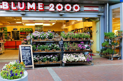 BLUME2000 Rotkreuzplatz