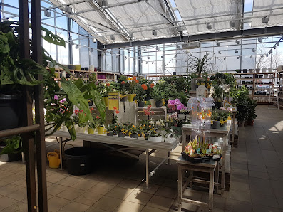 multi Gartencenter