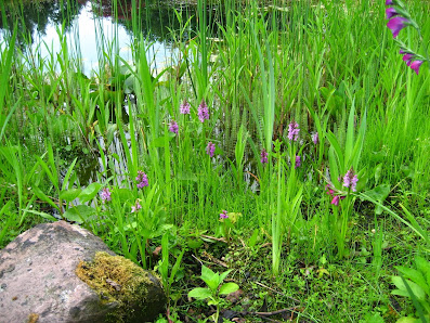 Juttas Staudengarten