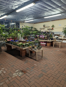 Heseler Pflanzencenter GbR
