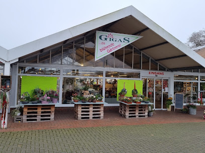 Gärtnerei Gigas
