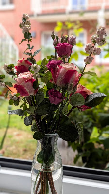 Kim´s Blumen