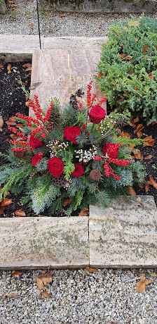 mohnblume - Ihr Blumenladen in Neuhausen