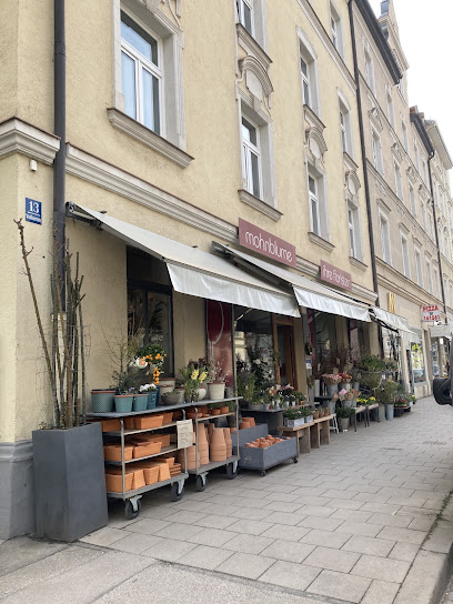 mohnblume - Ihr Blumenladen in Neuhausen