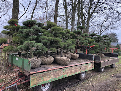 Baumschule Gartengestaltung Eike Ahlers