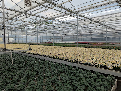 Acquistapace Gartenbau Service GbR