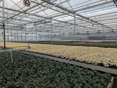 Acquistapace Gartenbau Service GbR