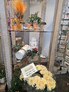 Blume Ideal