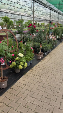R.Wardenburg Gartenbau