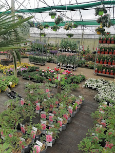 R.Wardenburg Gartenbau