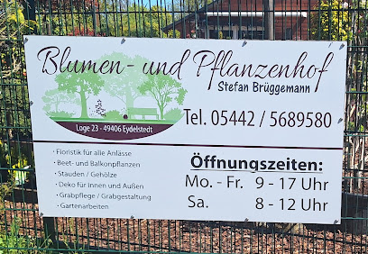 Blumen- und Pflanzenhof Stefan Brüggemann