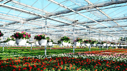 Blumen Ostmann GmbH Visbek