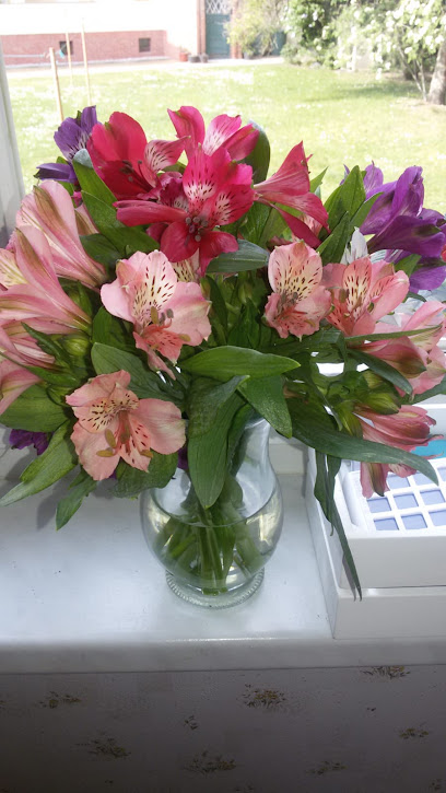 Blume Ideal
